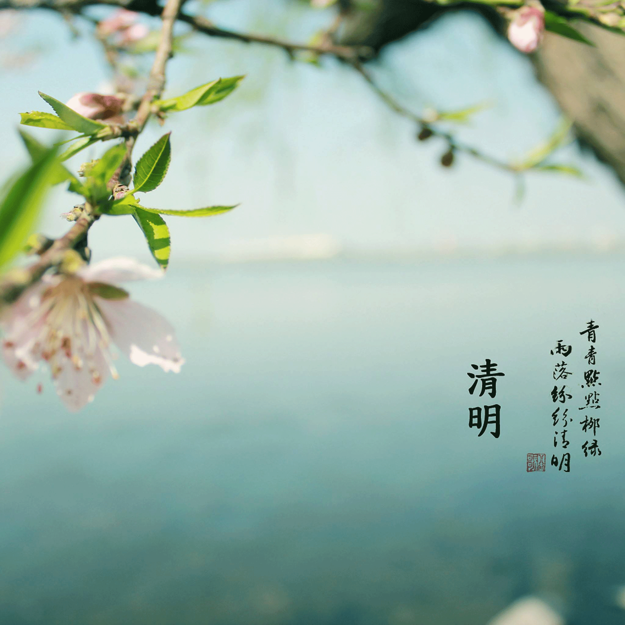清明全攻略，?洛陽遠(yuǎn)見祝您小長假愉快！